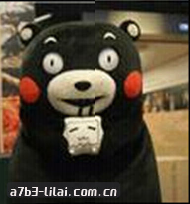 陈丽